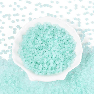 Transparent Frosted Colours Glass Seed Beads SEED-T007-12G-1