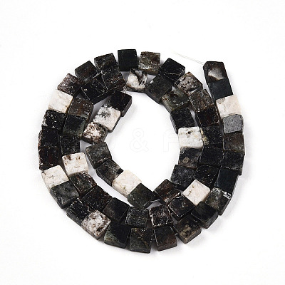 Natural Biotite Beads Strands G-N346-05A-01-1