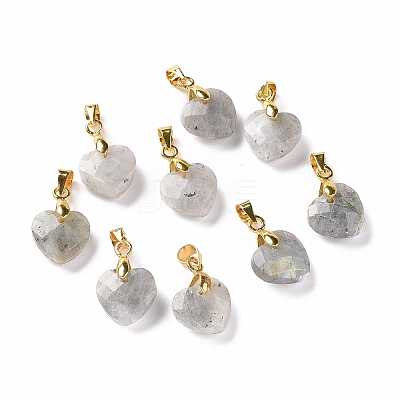 Natural Labradorite Pendants G-C023-07K-1