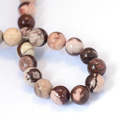 Natural Zebra Jasper Round Bead Strands G-E334-4mm-12-1