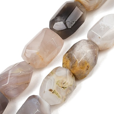 Natural Botswana Agate Beads Strands G-F796-C03-01-1