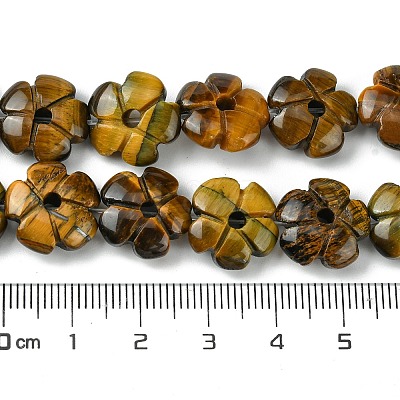 Natural Tiger Eye Beads Strands G-H023-B12-01-1
