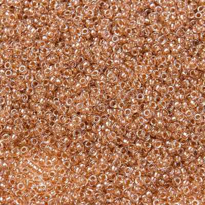 MIYUKI Round Rocailles Beads X-SEED-G009-RR1129-1