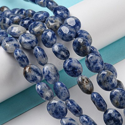Natural Blue Spot Jasper Beads Strands G-M420-D08-01-1