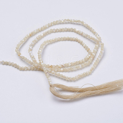 Natural Shell Beads Strands G-E354-03-1