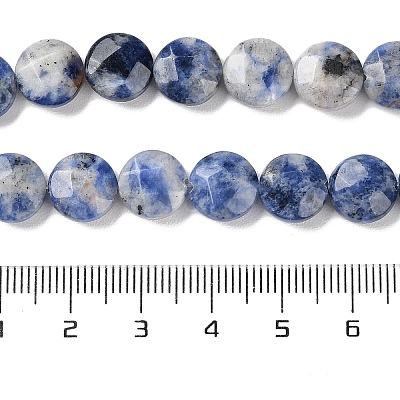 Natural Blue Spot Jasper Beads Strands G-K357-B14-01-1