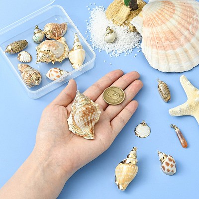 16pcs 8 Styles Electroplated Natural Mixed Shell Big Pendants SSHEL-CJ0001-21-1