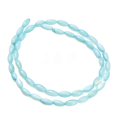 Natural Freshwater Shell Beads Strands SHEL-C010-01C-1