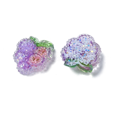 Fruit Transparent Epoxy Resin Decoden Cabochons CRES-I030-23E-1