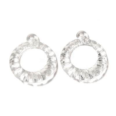 Transparent Acrylic Pendants TACR-G048-19-1