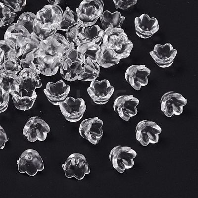 Transparent Acrylic Beads X-PL548-1-1