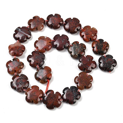 Natural Brecciated Jasper Beads Strands G-C220-E02-20mm-1