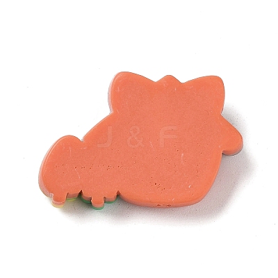 Autumn Theme Opaque Resin Cabochons CRES-A055-01I-1