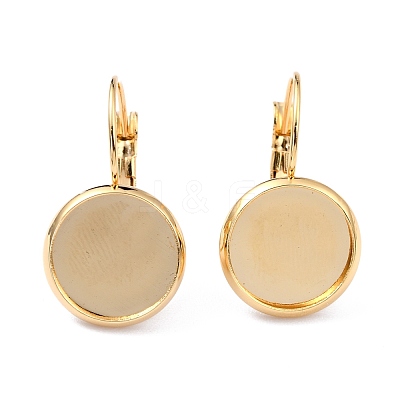 304 Stainless Steel Leverback Earring Settings X-STAS-F191-03G-16mm-1