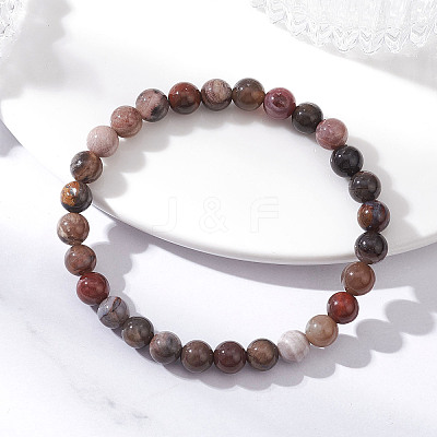 Natural Petrified Wood Beads Stretch Bracelets for Women BJEW-JB12604-1