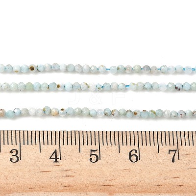 Natural Larimar Beads Strands G-L627-A01-2mm-1