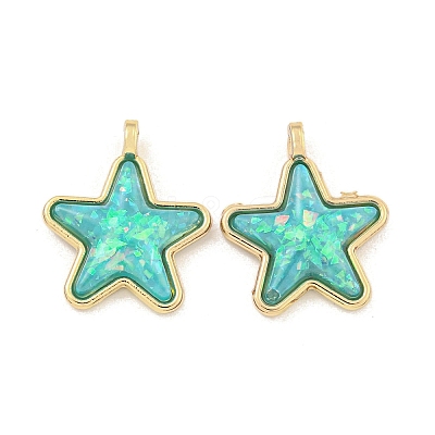 Translucent Resin Pendants KK-M291-24-1