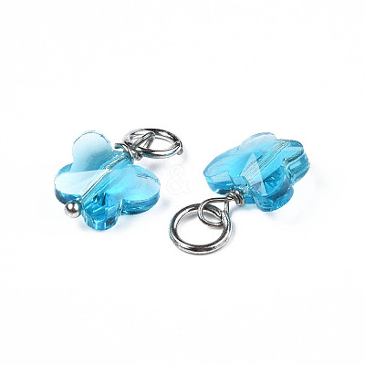 Faceted Transparent Glass Charms GLAA-T024-06E-1