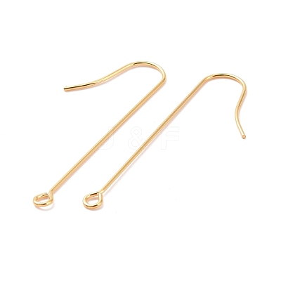 316 Surgical Stainless Steel Earring Hooks STAS-E027-02A-G-1