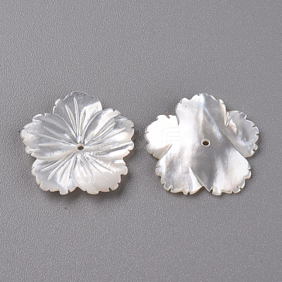 Natural White Shell Mother of Pearl Shell Beads SSHEL-R144-37-1