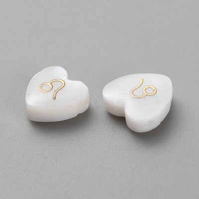 5Pcs Natural White Shell Beads BSHE-TAC0004-02G-1