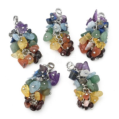 Natural Chip Gemstone Pendant Decorations X-HJEW-JM00213-1