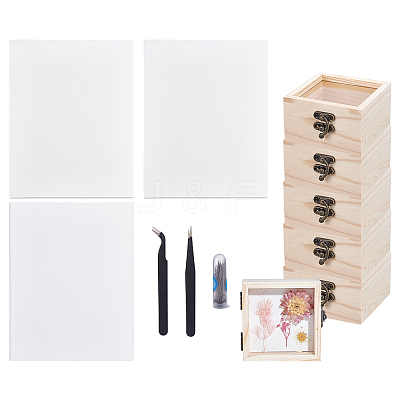 Insect Specimen DIY Kit WOCR-GA0001-02-1