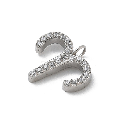 304 Stainless Steel Micro Pave Cubic Zirconia Charms STAS-Z107-09P-02-1