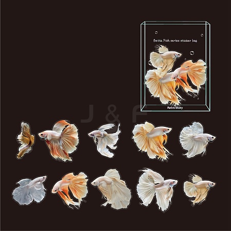 Waterproof PET Decorative Stickers DIY-M072-09C-1