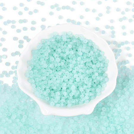 Transparent Frosted Colours Glass Seed Beads SEED-T007-12G-1