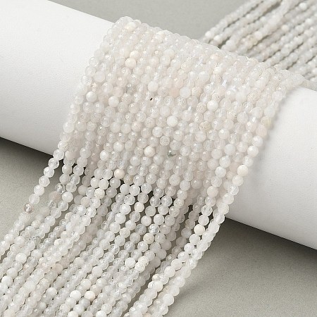 Natural Moonstone Beads Strands G-C201-B06-3mm-1