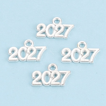 New Year's Day Alloy Charms FIND-N014-01S-1