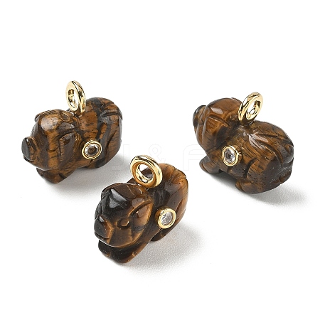 Natural Tiger Eye Carved Pendants GG-CBA105B-03I-G-1