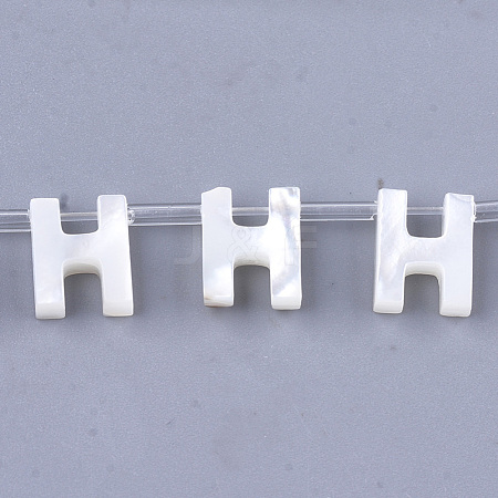Natural Sea Shell Beads SHEL-T012-60H-1