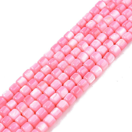 Natural Freshwater Shell Beads Strands SHEL-N003-33-A09-1