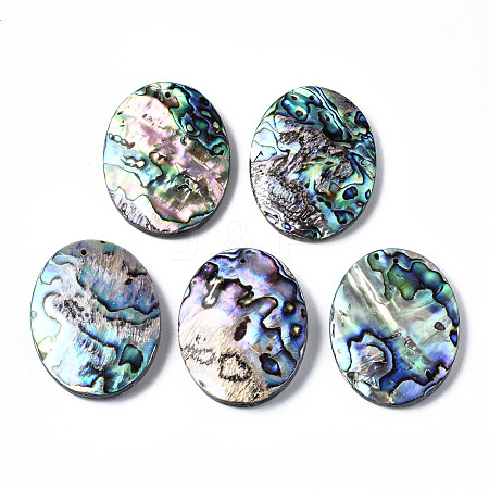 Natural Abalone Shell/Paua Shell Pendants SSHEL-N034-89-1