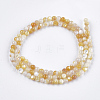 Yellow Shell Beads Strands SHEL-S274-93B-2