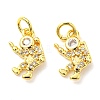 Rack Plating Brass Micro Pave Cubic Zirconia Charms KK-D036-17G-2