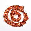 Natural Agate Chip Bead Strands G-M205-47-3