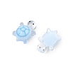 Luminous Resin Cabochons LS-RESI-U003-03D-4