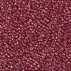 TOHO Round Seed Beads SEED-JPTR15-0109B-2