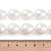 Electroplated Shell Pearl Beads Strands BSHE-H110-01-03-5
