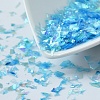 Plastic Candy Sequins/Paillette Chip DIY-I019-01M-1