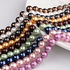 Polished Round Grade A Shell Pearl Bead Strands BSHE-M027-12mm-M-1