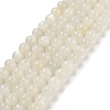 Natural White Moonstone Beads Strands G-D294-8mm-1