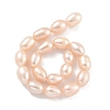Natural Cultured Freshwater Pearl Beads Strands PEAR-P062-10G-3