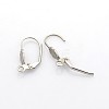 Tarnish Resistant 304 Stainless Steel Leverback Earring Findings STAS-N036-02-1