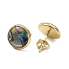 Flat Round Natural Paua Shell Stud Earring for Women EJEW-JE07126-01-3