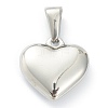 304 Stainless Steel Pendants X-STAS-P278-01Z-P-2