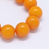 Resin Imitation Amber Beads Stretch Bracelets BJEW-E337-09E-2